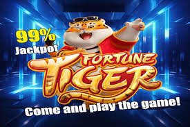 mm0188 phòng bingo cơ bản